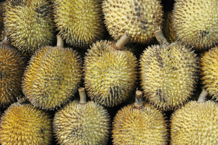 以莱为热带水果 如果季节连体异国国王榴莲市场香味美食情调食物图片