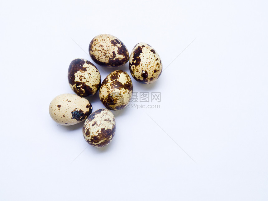 在白色背景中孤立的 Quail 鸡蛋生活棕色鹧鸪尺寸脆弱性曲线椭圆形团体食品早餐图片