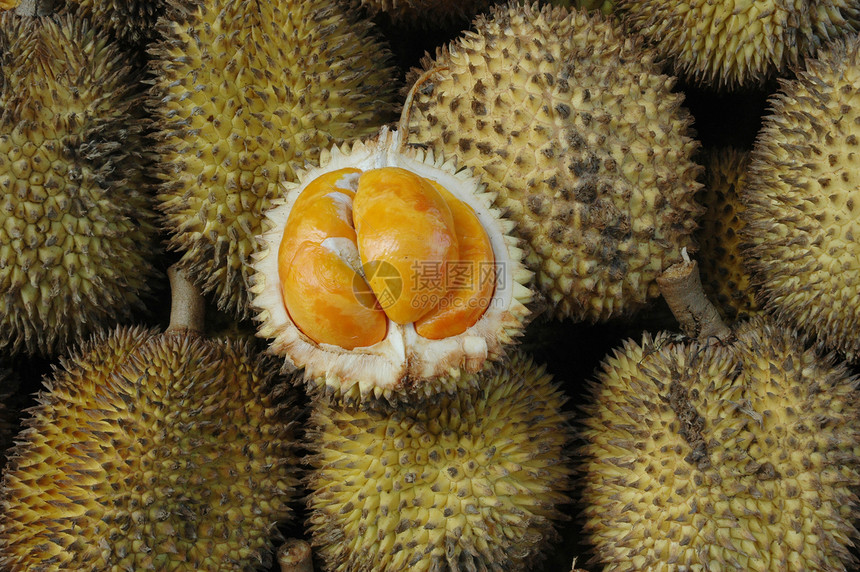 以莱为热带水果 如果连体榴莲香味食物异国植物情调国王市场季节图片