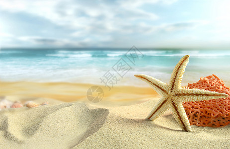 海滩沙滩星星背景图片