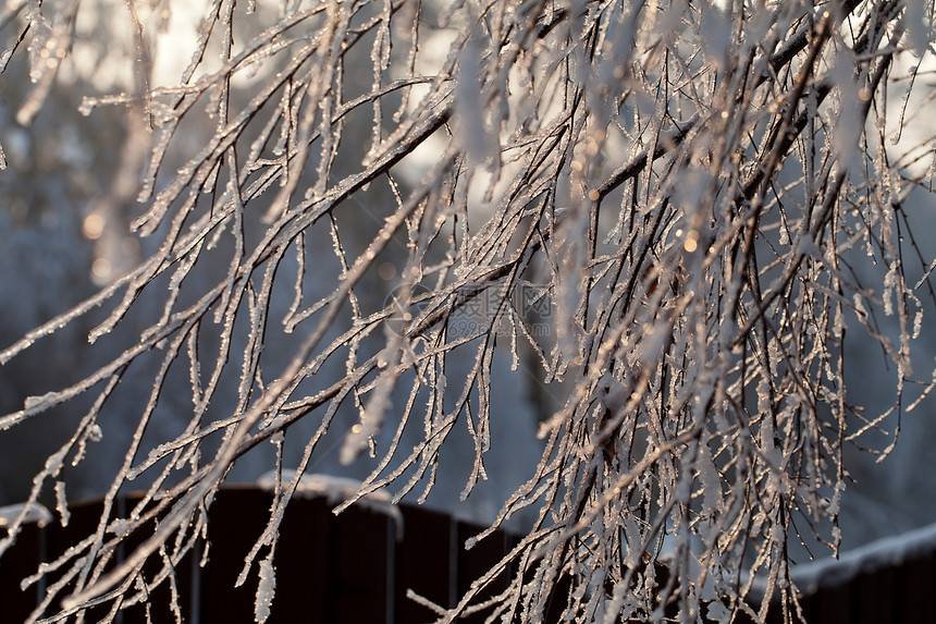 寒冬的压抑进入寒冷的下午魔法高地场景国家环境水晶花园日落气候冻结图片
