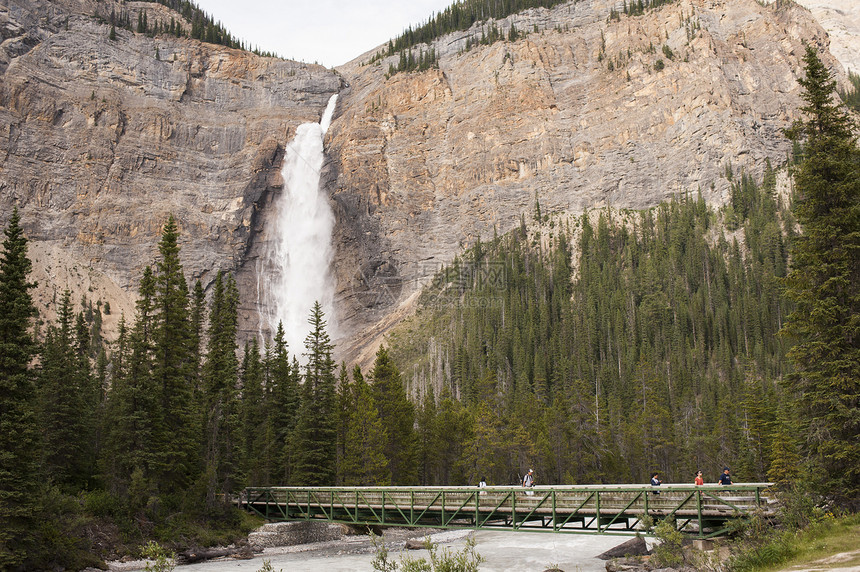 加拿大  不列颠哥伦比亚省  幽鹤国家公园公园国家森林树木瀑布悬崖吸引力岩石风景山脉图片