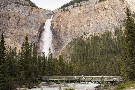 鹤桥加拿大  不列颠哥伦比亚省  幽鹤国家公园公园国家森林树木瀑布悬崖吸引力岩石风景山脉背景