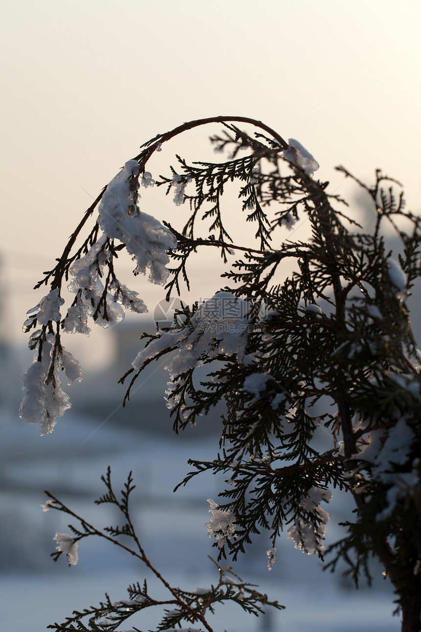 寒冬的压抑进入寒冷的下午场景公园风景季节冻结暴风雪车道场地高地画报图片