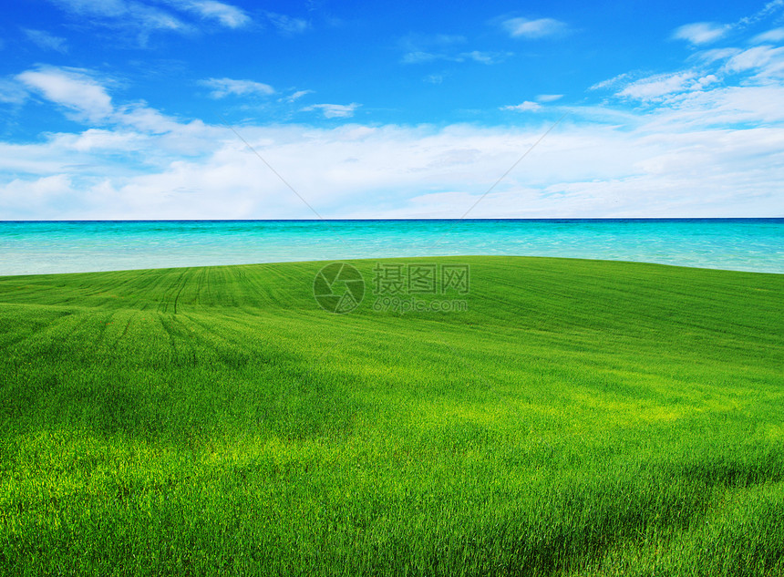 绿绿地农村农场阳光远景生长天堂植物国家太阳蓝色图片