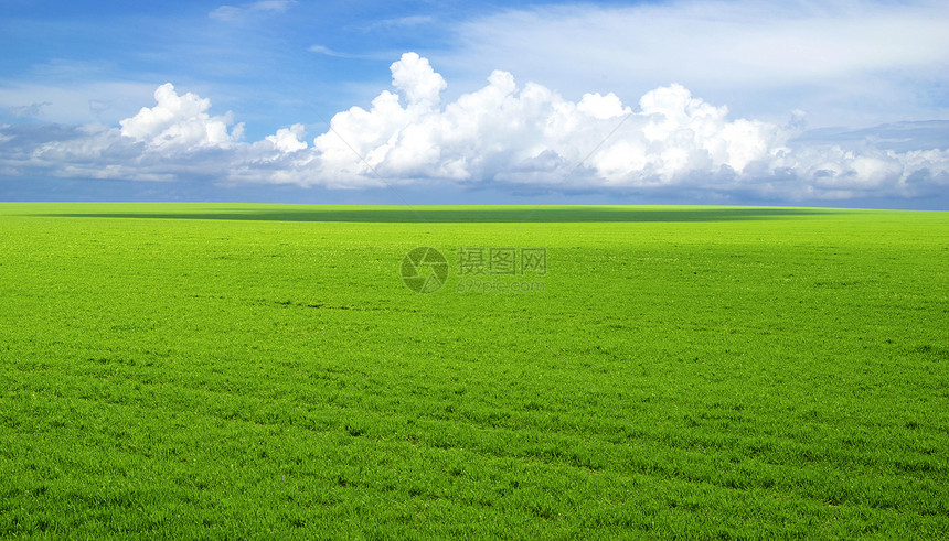 字段农场场地植物天空全景地平线土地农业牧场远景图片