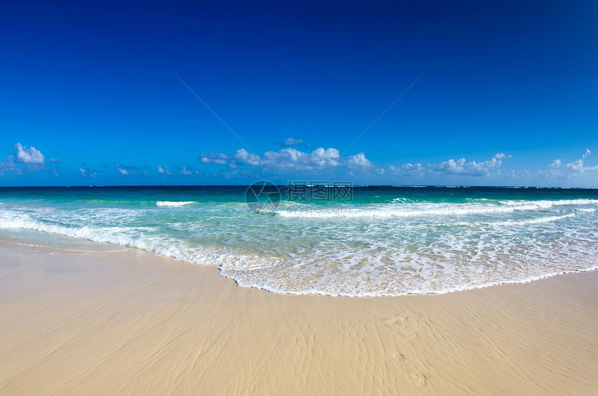海 海海洋冲浪热带天堂海景海岸假期太阳晴天阳光图片