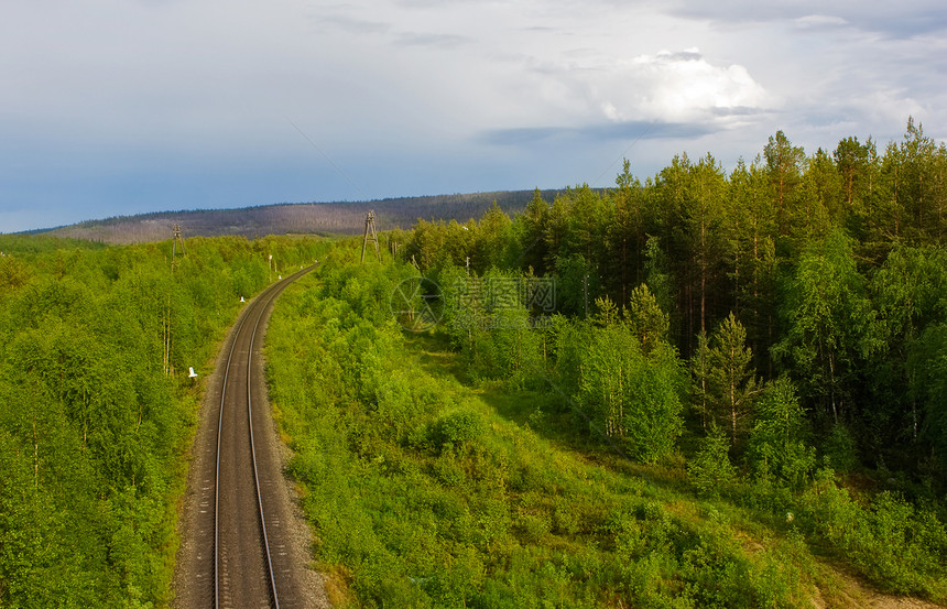 北部铁路空地爬坡道针叶林森林绿色图片