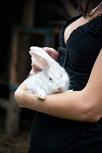 坐着兔子女孩兔子在女孩的手中背景