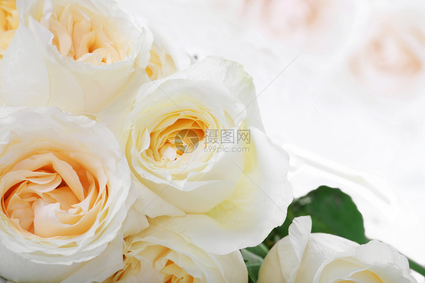 黄色中心的白玫瑰花花朵玫瑰花束图片
