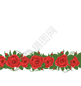 红玫瑰白铃花带有红玫瑰的水平边框插画