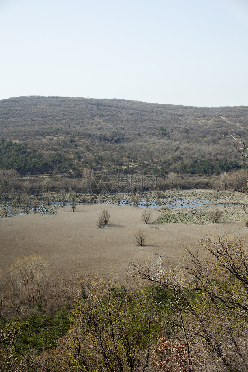 喀斯特湖多贝多树木表皮运河潜水座位样性洼地岩溶池塘支流图片