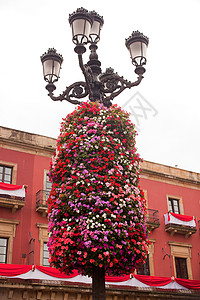 街灯上的鲜花装饰灯笼路灯荆棘雕塑花束树叶植物群花店含羞草玫瑰背景图片