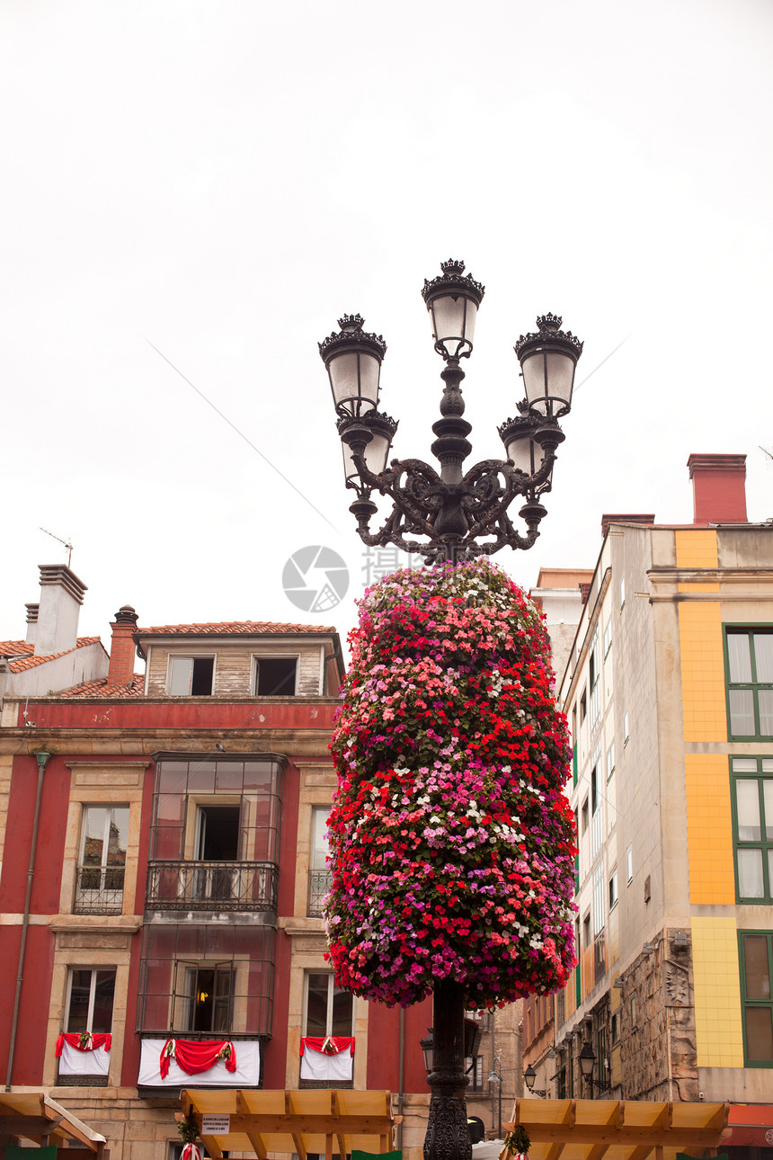街灯上的鲜花装饰花店花束植物群灯笼雕塑含羞草树叶路灯荆棘玫瑰图片