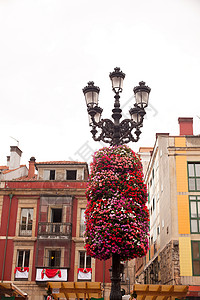 街灯上的鲜花装饰花店花束植物群灯笼雕塑含羞草树叶路灯荆棘玫瑰背景图片