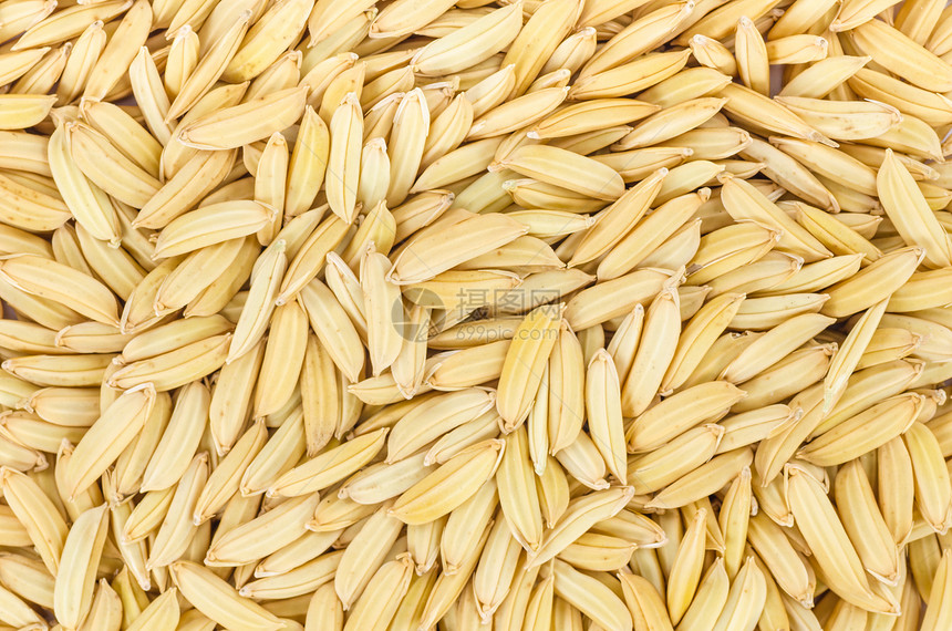 稻田饭农场棕色食物宏观白色种子谷物图片