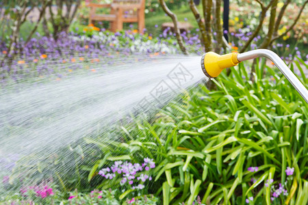在园中浇水花园园艺洒水器绿色公园工具植物背景图片