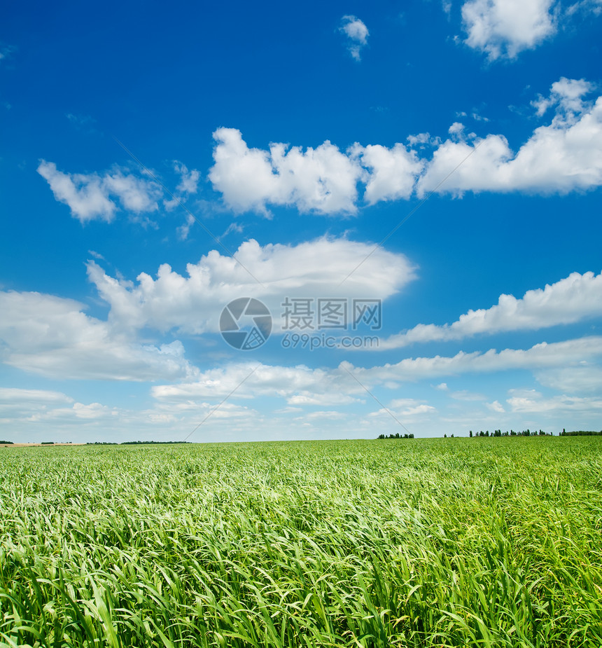 云层下绿草季节生长草原天空天气远景生态场景植物牧场图片