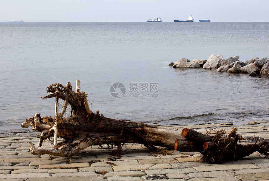 沙滩上的小车图片