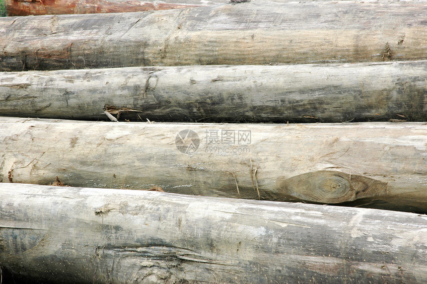 日志材料松树木头木材库存活力贮存资源主食环境图片