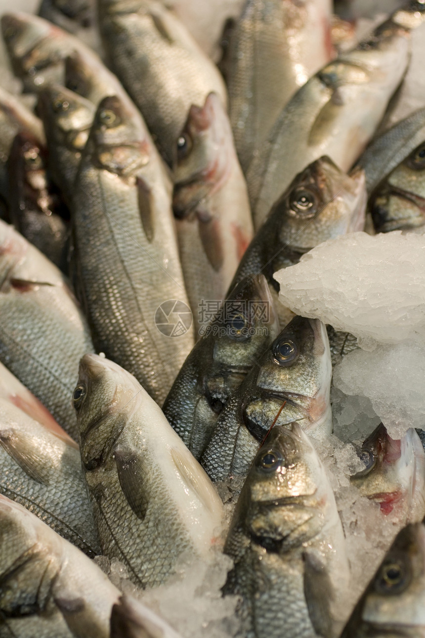 冰下海贝贝斯钓鱼食谱海洋蓝鱼饮食营养冷冻烹饪美食食物图片