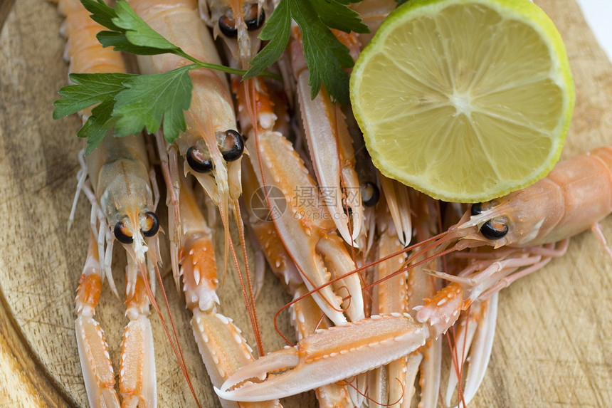 斯坎皮食谱龙虾贝类奢华牡蛎橙子用餐小龙虾餐厅盘子图片