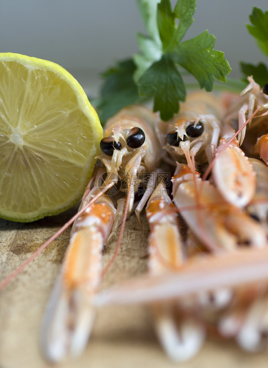 斯坎皮橙子动物食物奢华用餐市场拼盘甲壳贝类牡蛎图片