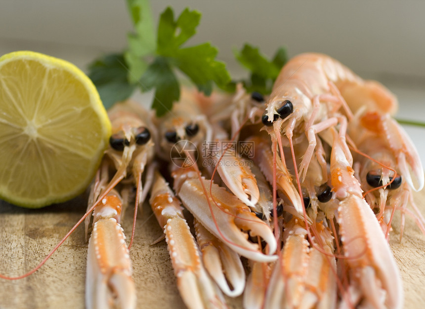 斯坎皮食谱动物贝类渔夫甲壳牡蛎盘子小龙虾拼盘美食图片