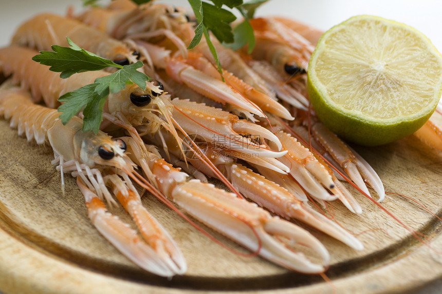 斯坎皮动物牡蛎食谱菜单贝类市场食物龙虾烹饪海鲜图片