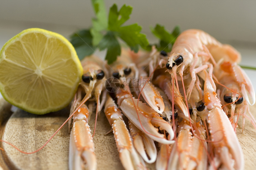 斯坎皮贝类牡蛎小龙虾市场盘子拼盘动物奢华龙虾菜单图片