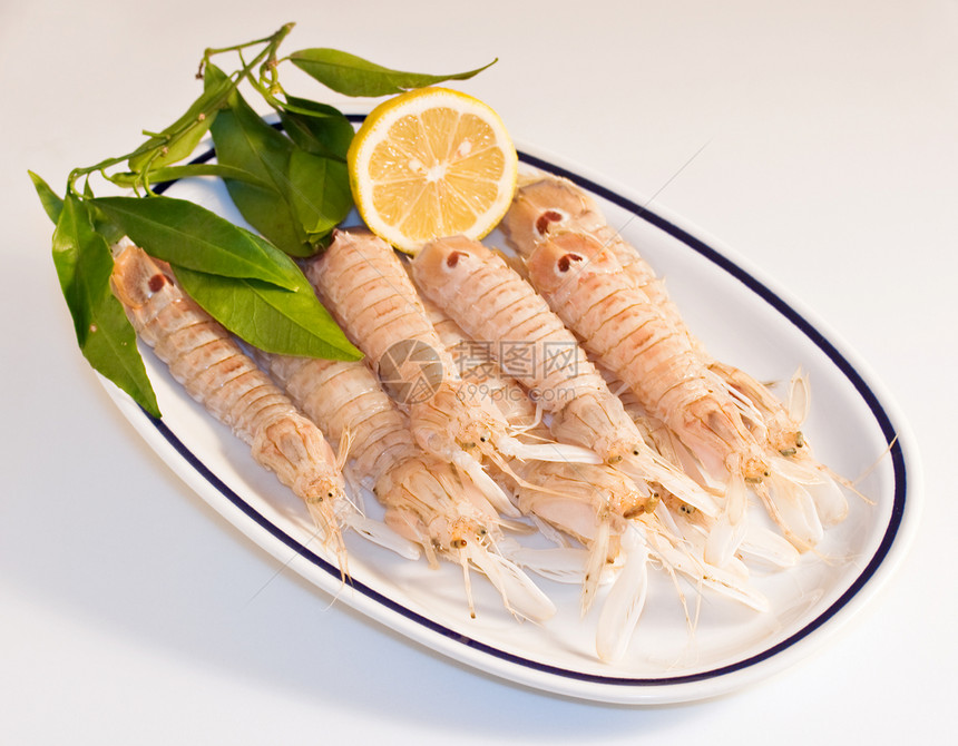猴类美味奢华小龙虾动物菜单贝类食物饮食盘子拼盘图片