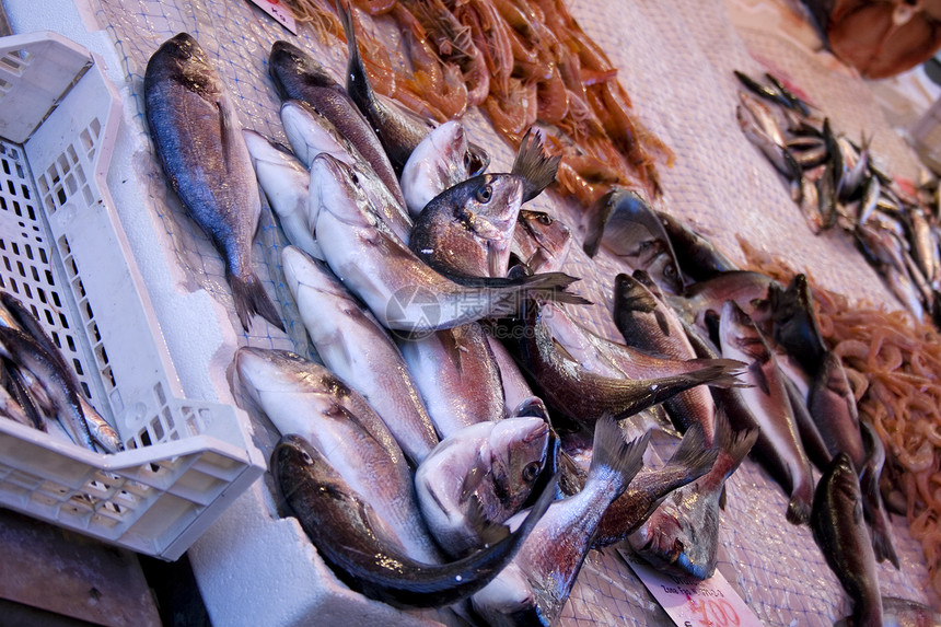 鱼市场餐厅美食食物团体钓鱼展示奢华海洋海鲜动物图片