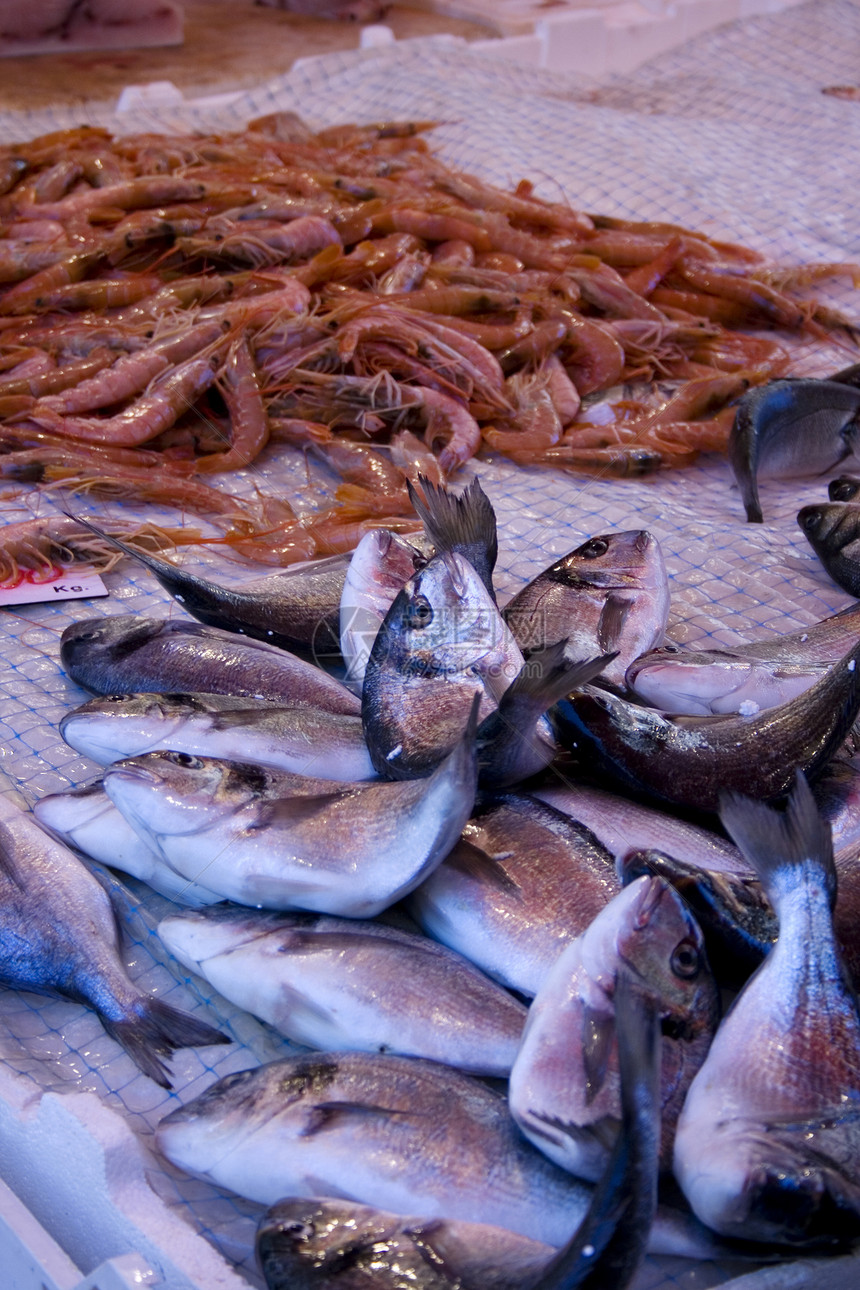 鱼市场海洋动物奢华钓鱼展示甲壳食物海鲜贝类盐水图片