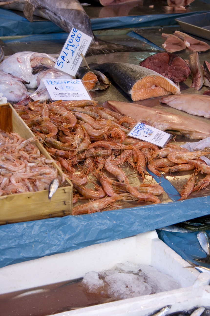 鱼市场展示甲壳贝类餐厅海洋营养动物美食食物盐水图片