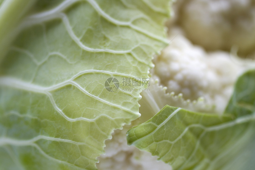 花椰菜花白菜头木板宝石食品上校多叶食物油菜健康营养图片