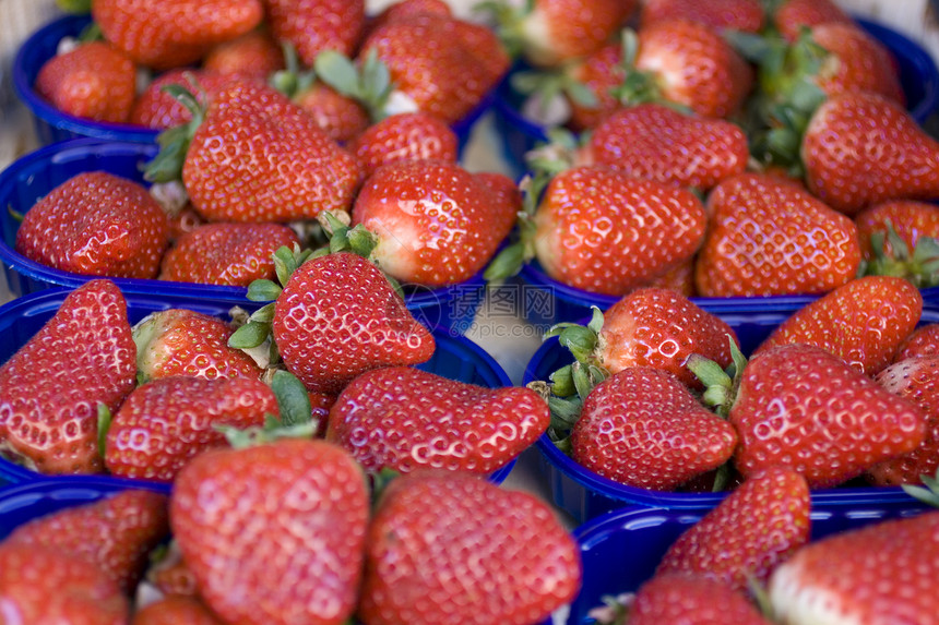 新鲜草莓食物美食团体生长浆果盘子植物甜点早餐水果图片