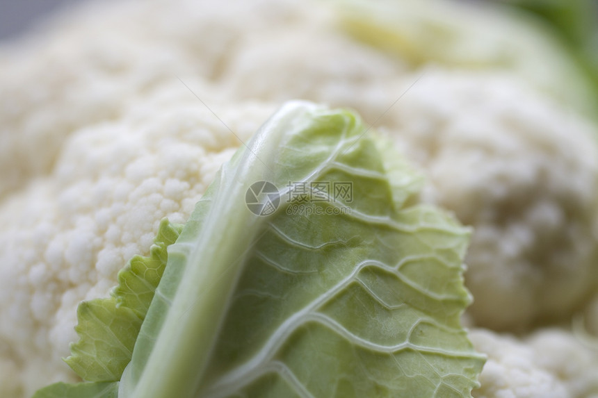 花椰菜花食物白菜头食品木板上校营养健康多叶饥饿蔬菜图片