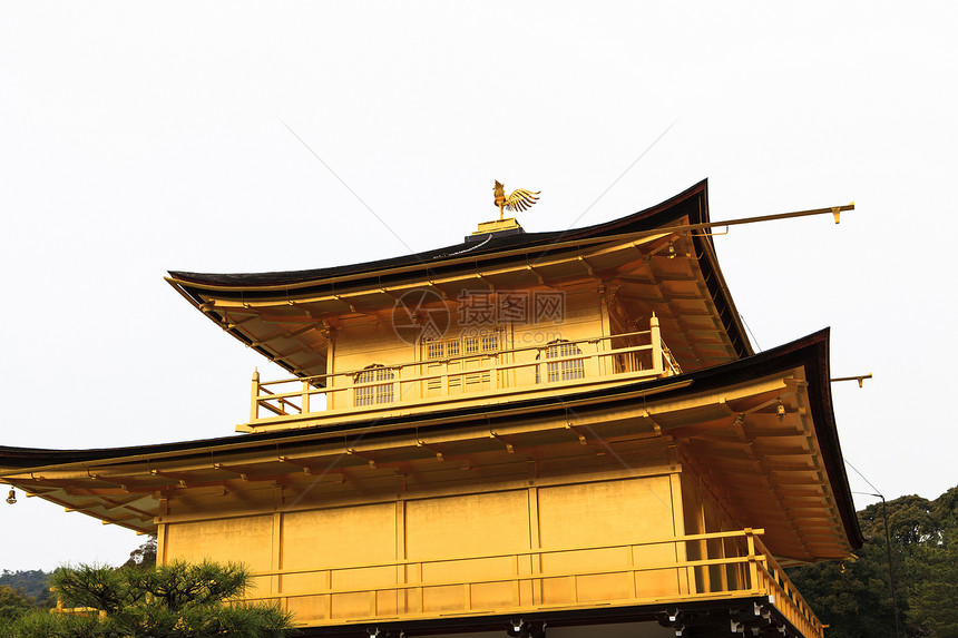 京角寺庙反射遗产吸引力佛教徒亭子明信片文化游客森林地标图片
