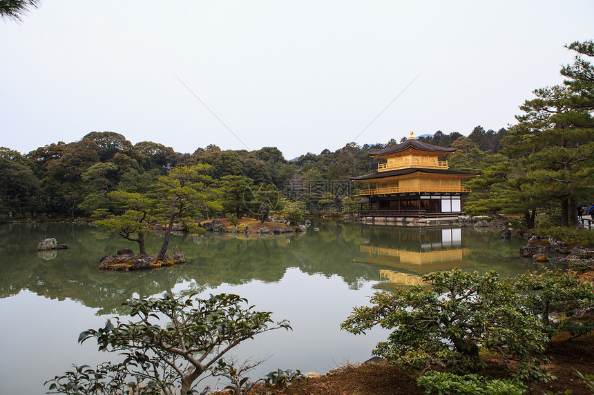 京角寺庙金子旅行游客森林吸引力松树观光旅游宝塔宗教图片