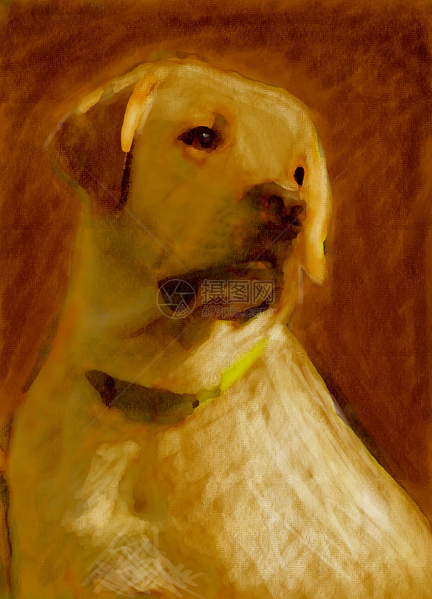 黄色拉布拉多的油油画肖像草图冒充兽医小狗猎犬亚麻朋友写意动物宠物图片