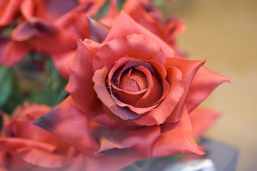 纸玫瑰雌蕊植物群红色花瓣花店植物树叶花束图片