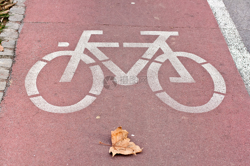 自行车路径运输路标季节树叶枯叶白色警告路面街道图片