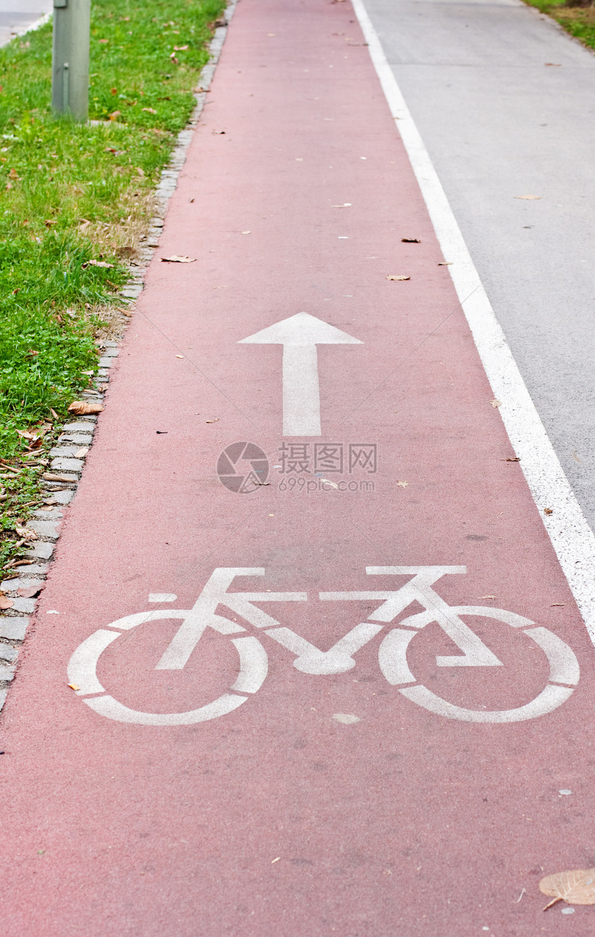 自行车路径白色枯叶街道运输警告路面树叶路标季节图片