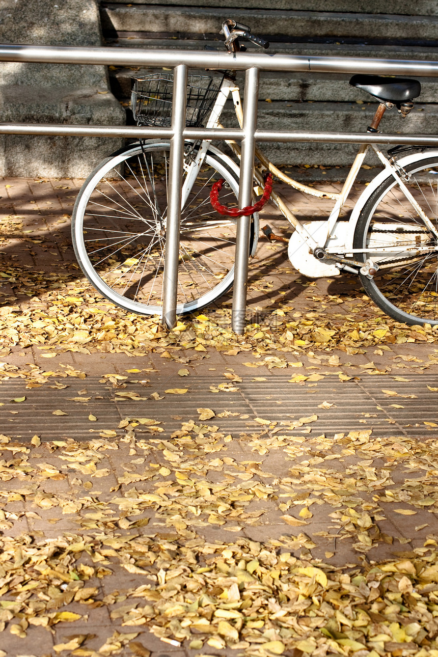 秋天的自行车死亡街道森林悲伤公园生活地毯橡木黄色树叶图片
