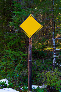 无话可说空白提示符号森林黄色正方形运输冒险钻石黑色树木危险警告背景