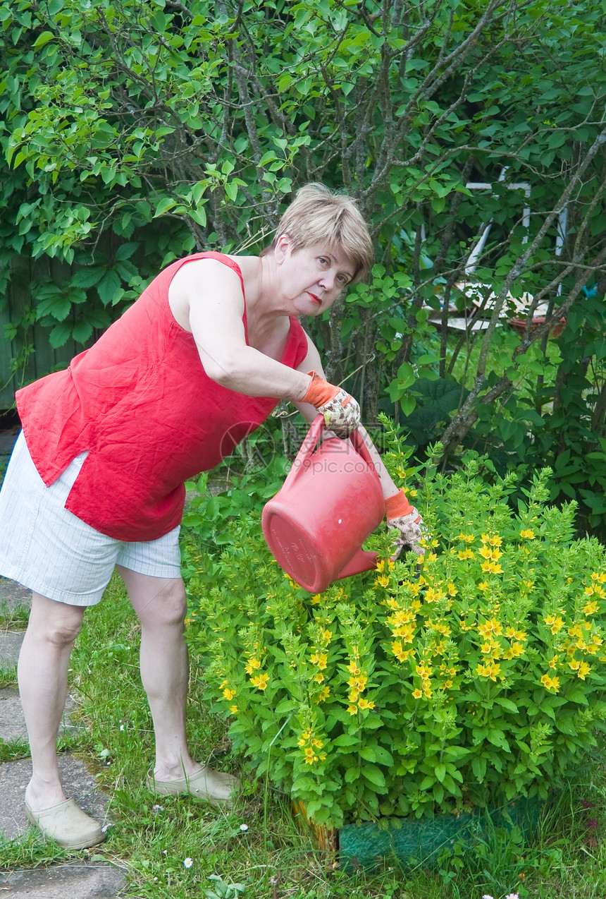 妇女浇水花花爱好绿叶花艺土地花园乡村村庄园艺植物劳动图片