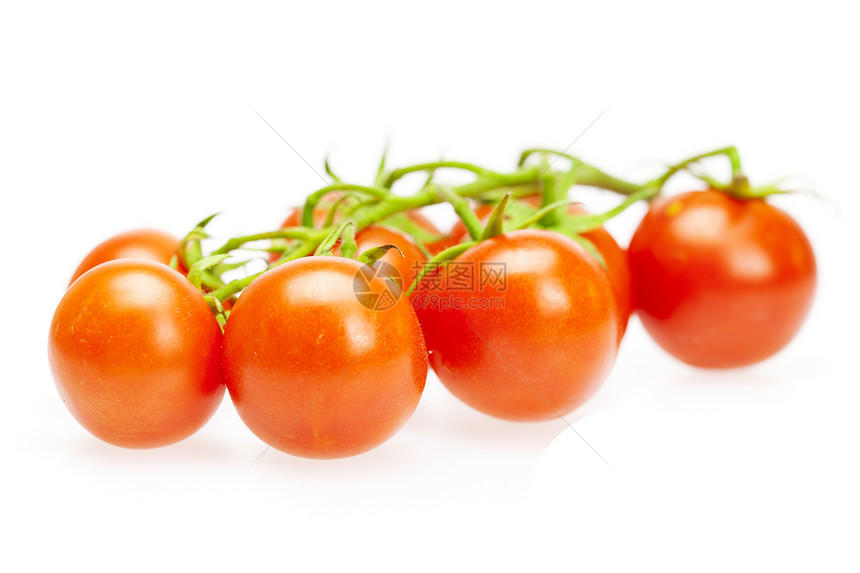白上孤立的多汁西红柿食物水果红色正方形小路活力绿色宏观白色反射图片