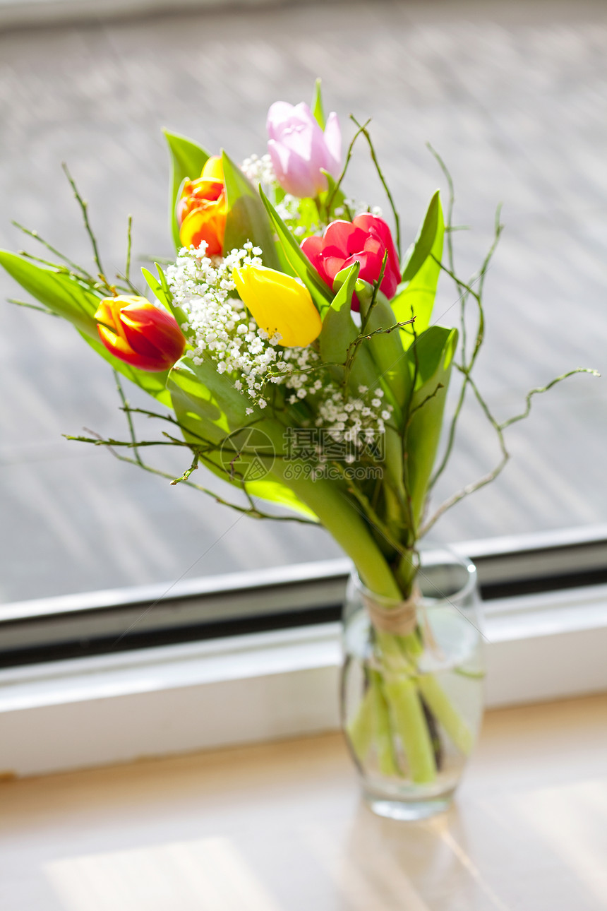 带郁金香的春花束白色团体绿色礼物水平家庭花朵阳光影步叶子图片