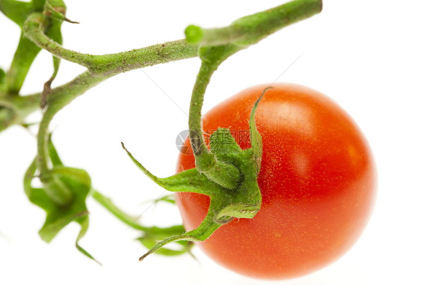 白上孤立的多汁番茄食物红色水平绿色活力小路水果蔬菜宏观白色图片