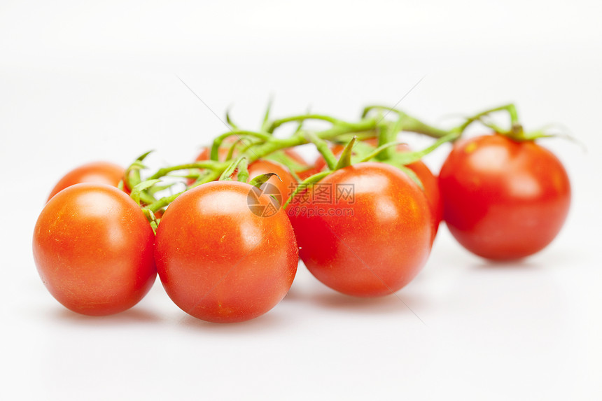 白上孤立的多汁西红柿小路蔬菜宏观食物绿色正方形活力反射水平水果图片